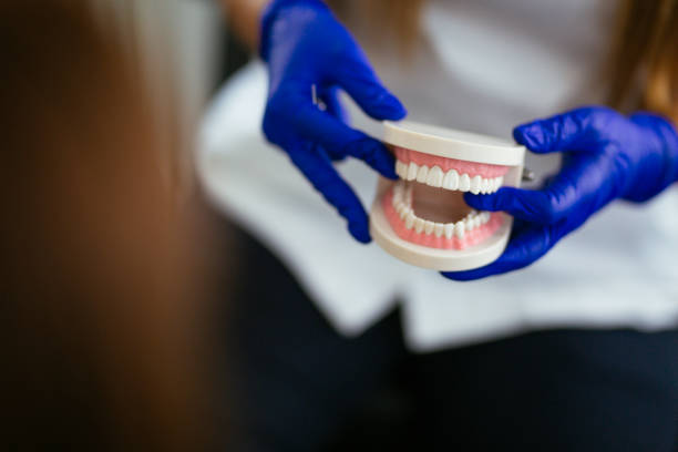 Trusted Kingwood, WV Holistic Dental Care Services Experts
